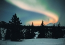 0005  Arctic Nights (Wild Alaska Line)