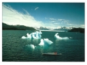 0057  Kayaking...Prince Will (Wild Alaska Line)