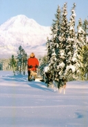 0512  Old Man & Mountain (Mushing Alaska Line)