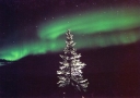 2011  Alaska Magic (Aurora Borealis Line)