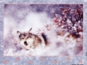 6025  Snow Wolf