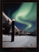 6029  An Aurora, a Pipeline and Moose Tracks in the Snow
