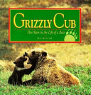 Grizzly Cub