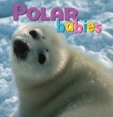 Polar Babies