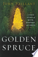 Golden Spruce