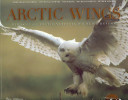 Arctic Wings (with CD)