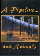 Pipeline...and Animals DVD