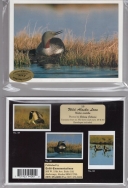 Loon (10 cards)