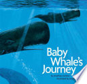 Baby Whale's Journey