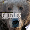 Face to Face With Grizzlies