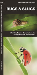 Pocket Naturalist: Bugs & Slugs