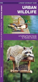 Pocket Naturalist: Urban Wildlife