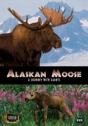 Alaskan Moose: A Journey with Giants DVD