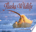 Alaska Wildlife Impressions