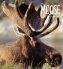 Moose: Living Wild