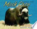 Musk Oxen (Animal Prey)