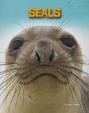 Seals