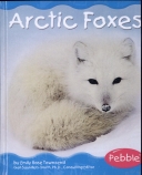 Arctic Foxes