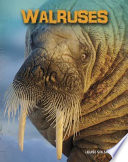 Walruses