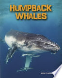 Humpback Whales