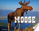 Moose