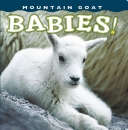 Mountain Goat Babies