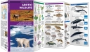 Pocket Naturalist: Arctic Wildlife