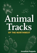 Animal Tracks of the Northwest (Adventure Quick Guides)