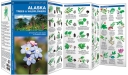 Pocket Naturalist: Alaska Trees & Wildflowers