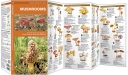 Pocket Naturalist: Mushrooms