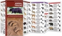 Pocket Naturalist: Animal Tracks