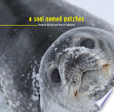 Seal Named Patches