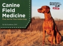 Canine Field Medicine: First Aid for Your Active Dog