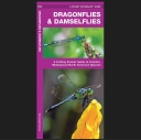 Pocket Naturalist: Dragonflies & Damselflies