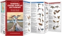 Pocket Naturalist: Sandhill Crane Display Dictionary