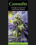 Cannabis a Guide to Common and Exotic Strains