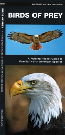 Pocket Naturalist: Birds of Prey
