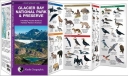 Pocket Naturalist: Glacier Bay National Park & Preserve
