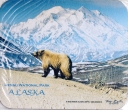 0016 Grizzly at Denali Mousepad