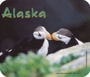 0027 Kissing Puffins Mousepad