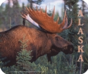 0028 Spruce Moose Mousepad