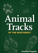 Animal Tracks of the Northwest (Adventure Quick Guides)