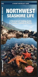 Northwest Seashore Life: A Waterproof Folding Guide