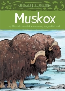 Animals Illustrated: Muskox