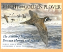 Flight of the Golden Plover