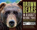 Brown Bears In Alaska\