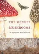 Wonder of Mushrooms