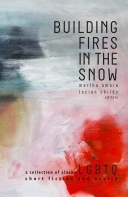 Building Fires in the Snow: A Collection of Alaska Lgbtq