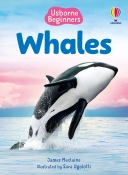 Usborne Beginners: Whales
