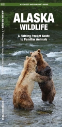 Pocket Naturalist: Alaska Wildlife